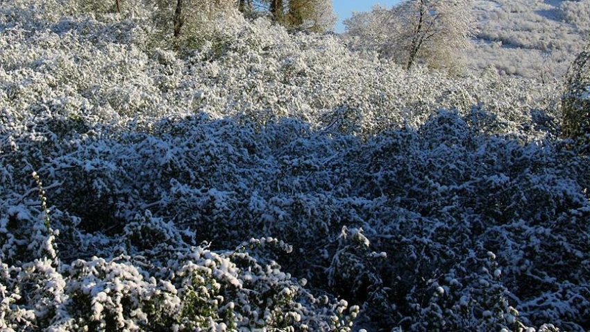 Meteorolojiden zirai don ve buzlanma uyarısı