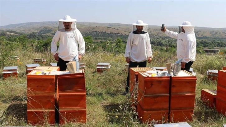 TİKA’dan Kuzey Makedonya’daki arıcılara destek