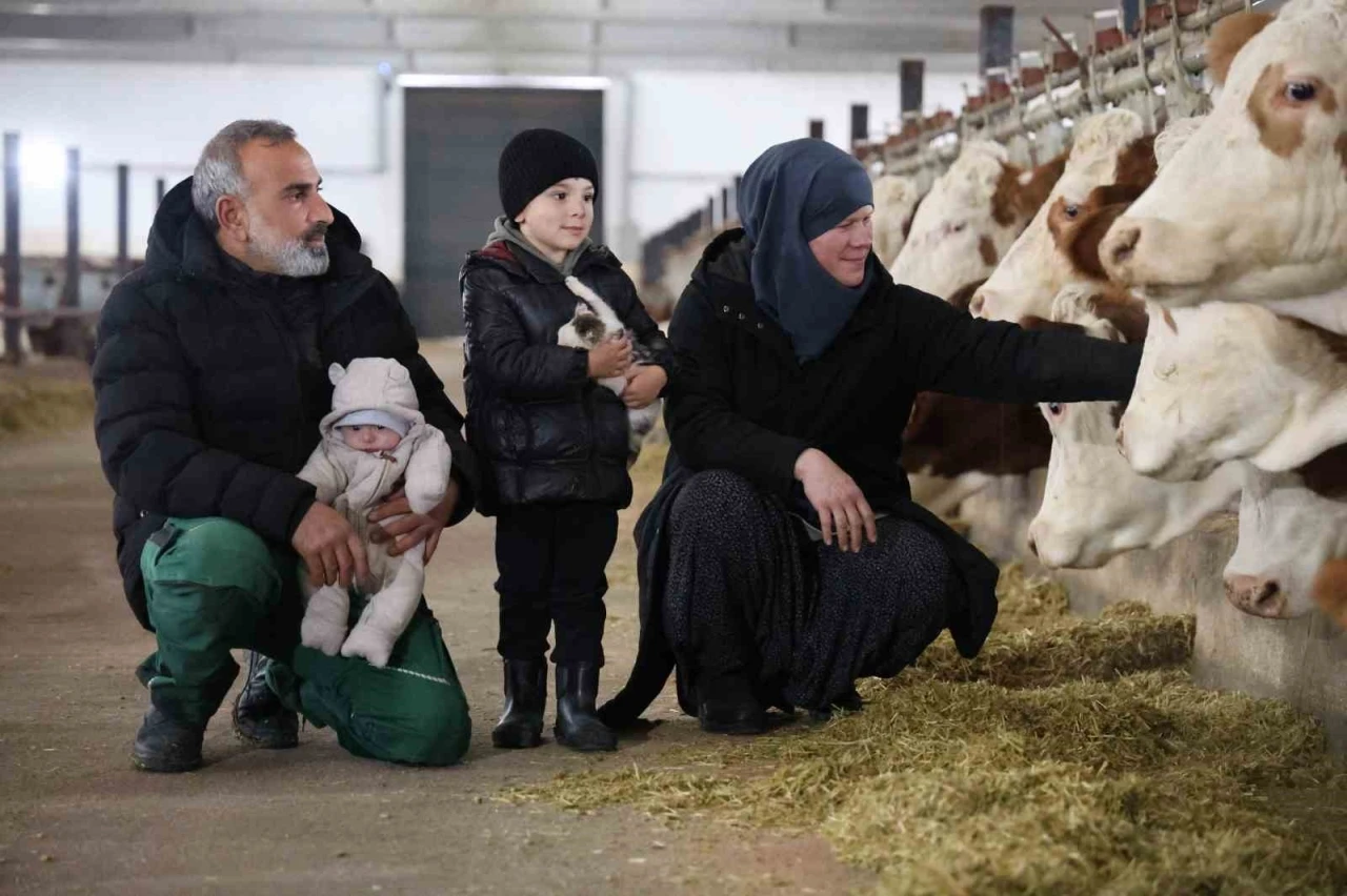 TKDK’dan aldığı destekle ülkesine dönüp çiftlik kurdu, 432 ton süt üretiyor
