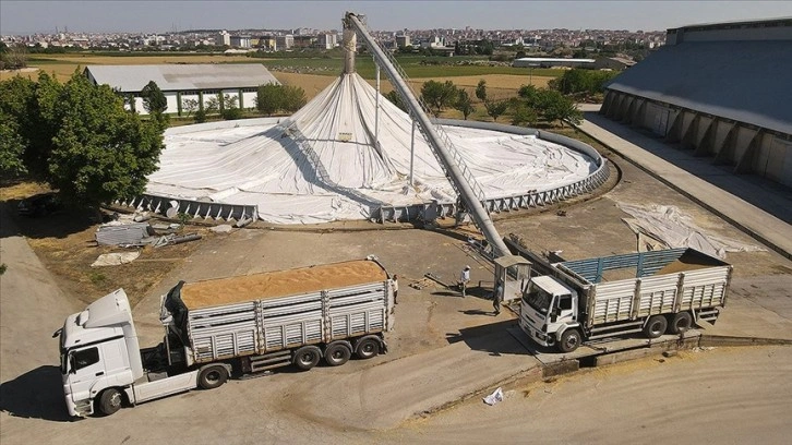 TMO'nun günlük hububat alım kapasitesi 160 bin tona ulaştı