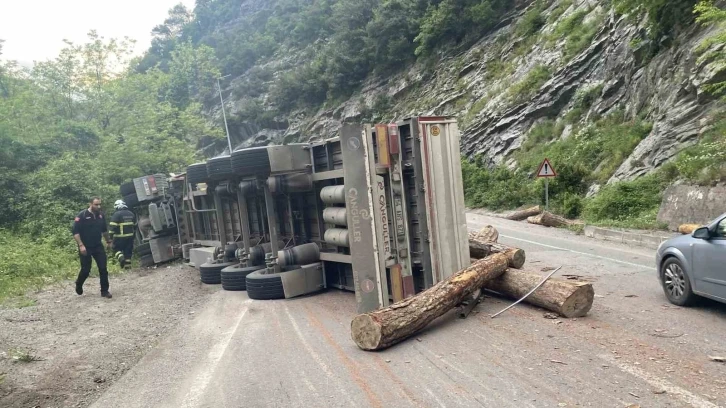 Tomruk yüklü tır devrildi, sürücüsü ağır yaralandı
