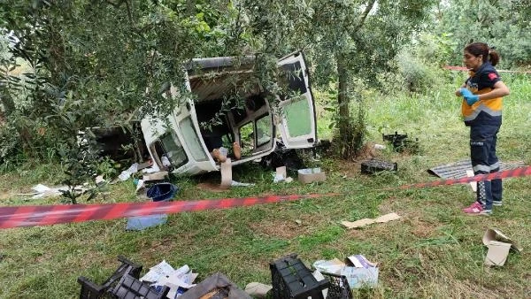 Topladığı erikleri satmak için yola çıktı, kazada öldü