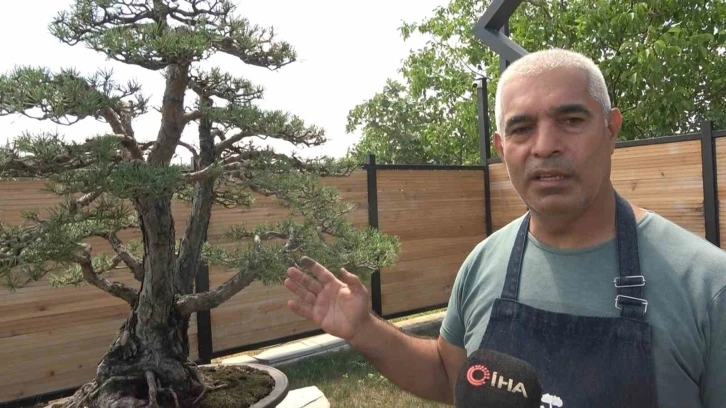 Toprak Dede’nin bonsai koleksiyonu müzede yaşatılıyor
