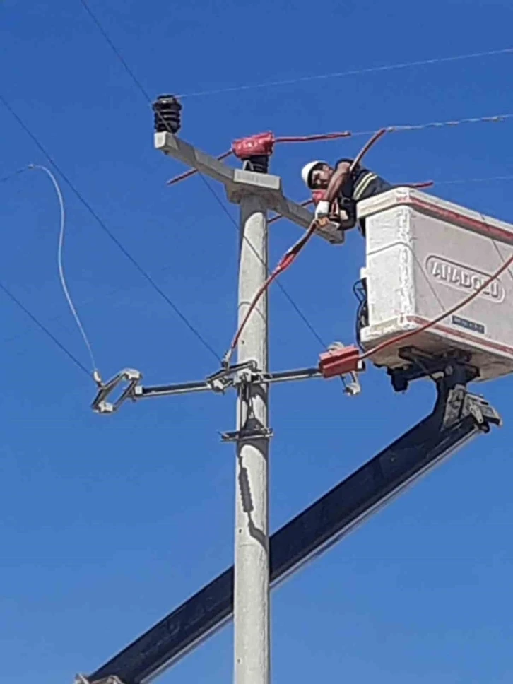 Toroslar EDAŞ, hatlarını yalıtarak kuşların çarpılmasını önlüyor
