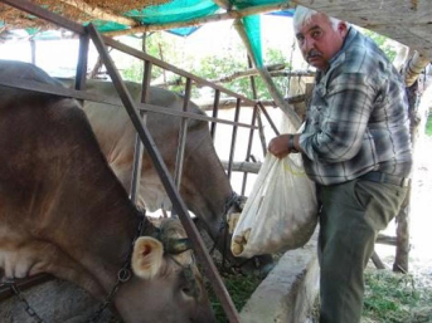 Bir ay önce insanlar yiyemiyordu, şimdi hayvanlar yiyor...