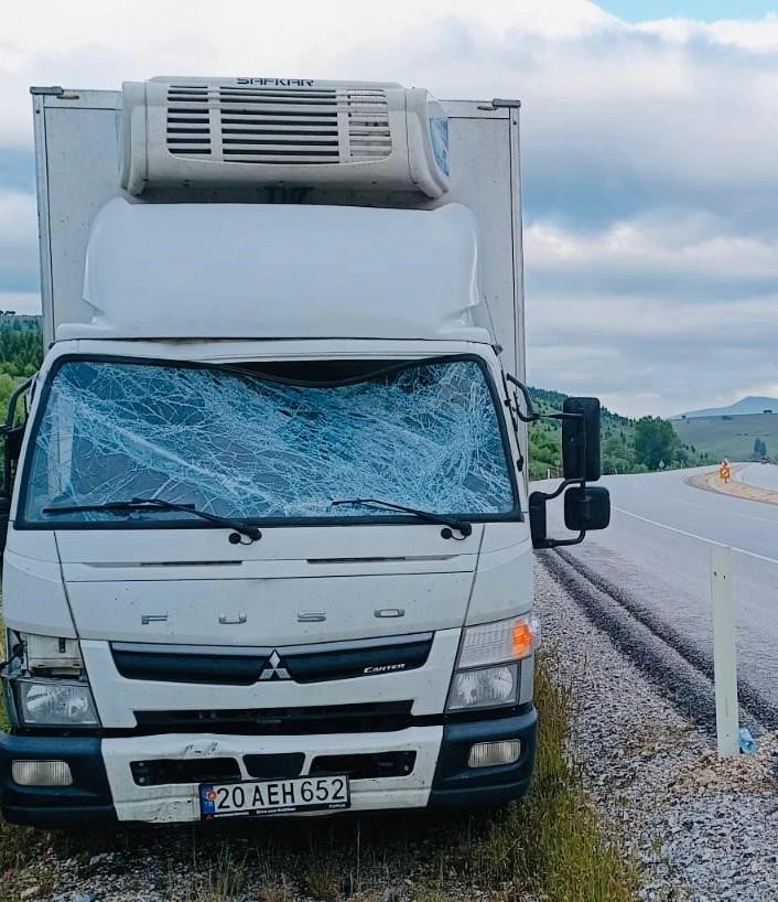 Trafik uyarı tabelasına çarpan kamyonet sürücüsü yaralandı
