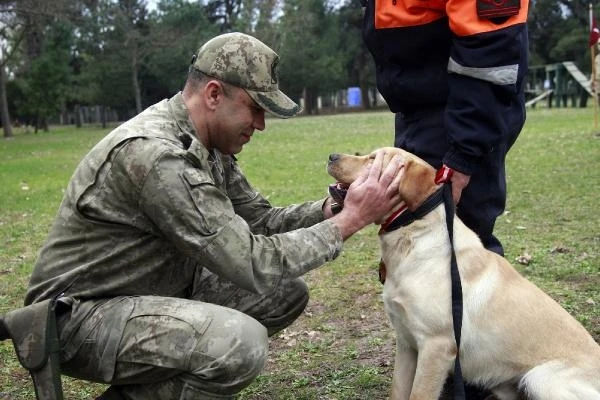 TSK’nın arama köpekleri 78 kişiyi kurtardı; 'sessiz kahramanlar' madalya ile ödüllendirildi