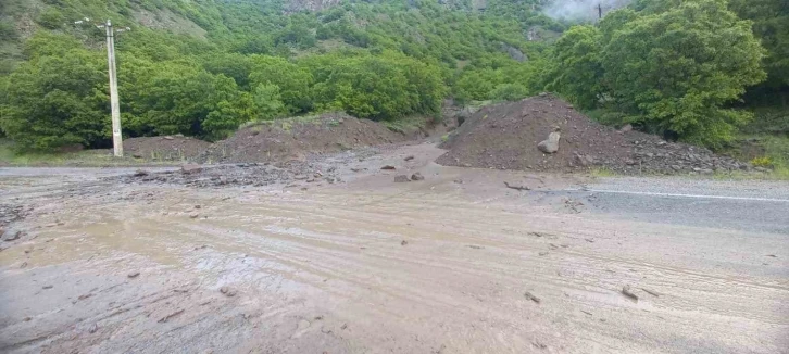 Tunceli’de sağanak yağış hayatı olumsuz etkiledi
