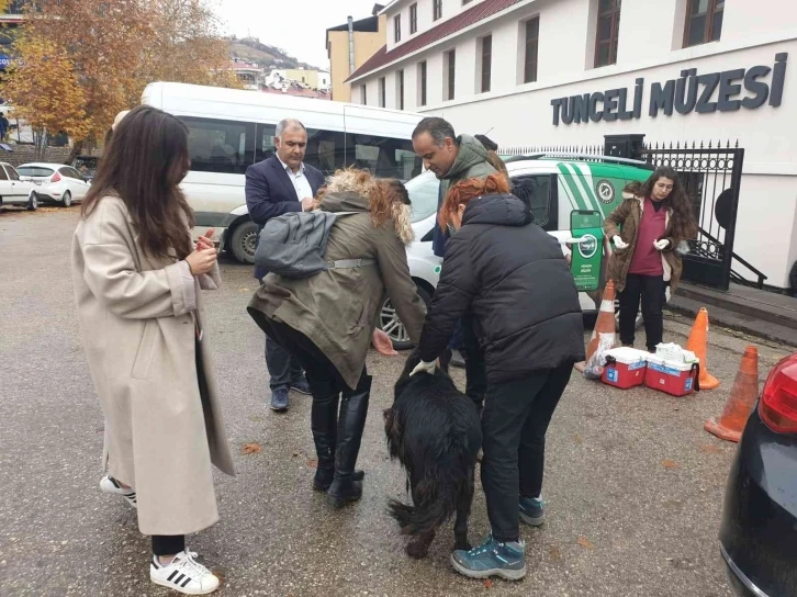 Sokak hayvanları aşılanıyor 