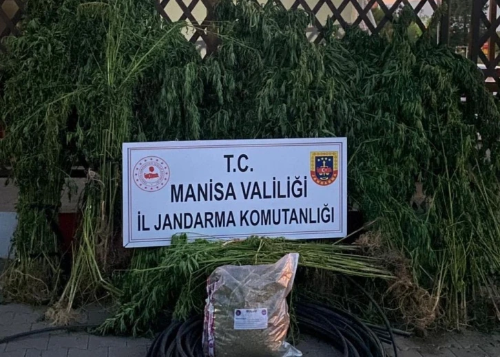 Turgutlu’da jandarmadan uyuşturucu operasyonu
