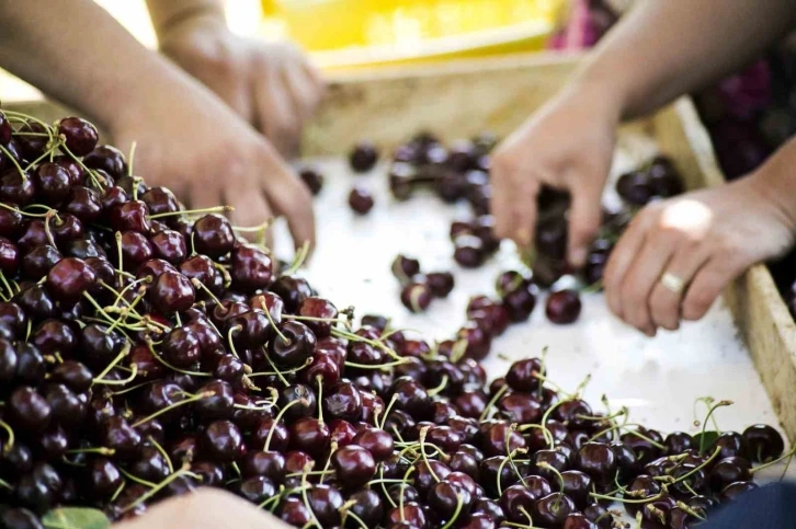 Türkiye, meyve üretiminde dünyada 4’üncü sırada
