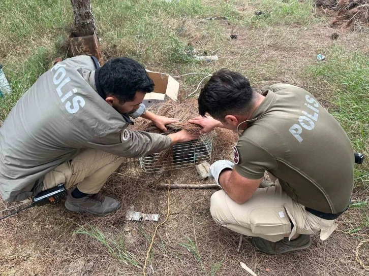 Tuzağa takılan ’bayağı çakır’ kuşunu polis kurtardı
