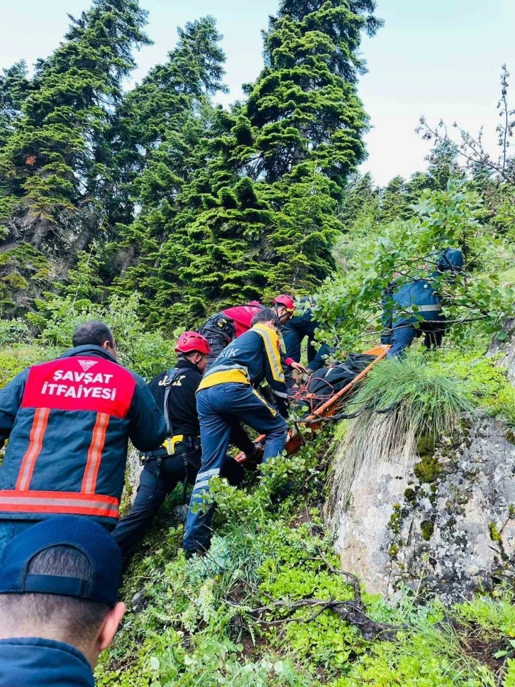 Uçuruma yuvarlanan kamyonet sürücüsü hayatını kaybetti
