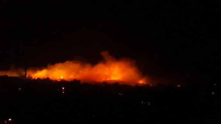 Urla’da makilik alanda korkutan yangın
