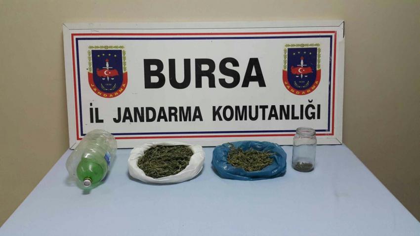 Bursa'da uyuşturucuya geçit yok!