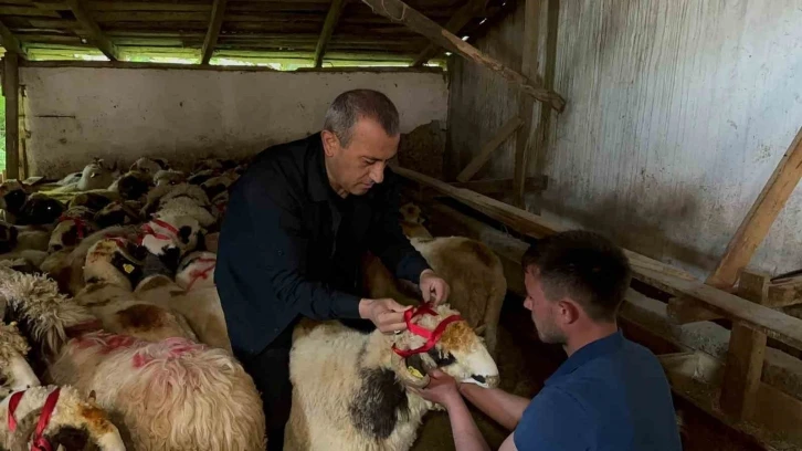 Vali Sonel, Kurban Bayramı’nda yetim ve öksüzleri unutmadı
