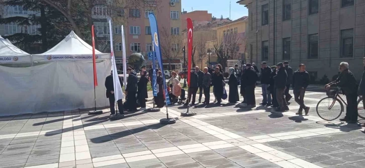 Valilikten vatandaşlara fidan dağıtımı
