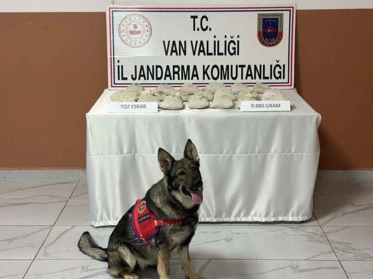 Van’da 9 kilo 880 gram toz esrar ele geçirildi
