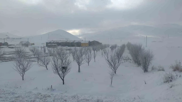 Van’da ağaçlar kırağı tuttu
