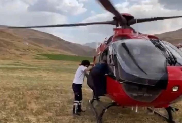 Van’da arı sokan kadın ambulans helikopterle hastaneye kaldırıldı