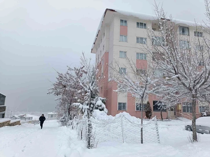 Van güne kar yağışıyla uyandı
