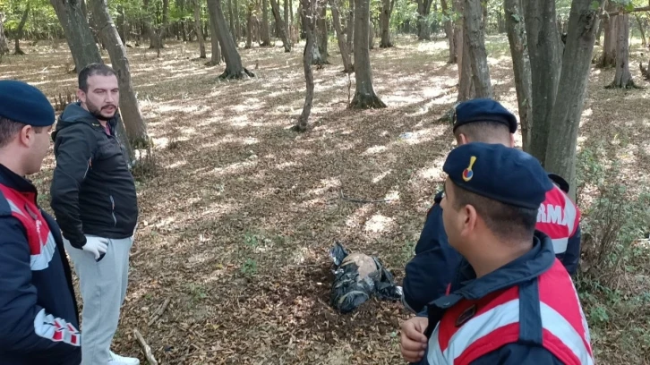 Vatandaş çocuk cesedi sandı, bakın ne çıktı