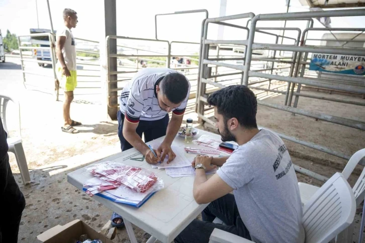 Vatandaşlar, mobil kesim üniteleri ve mezbahalardan ücretsiz faydalandı
