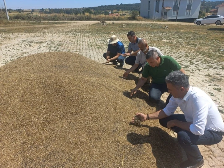 Verim bu yıl dönümünde 300 kilo arttı
