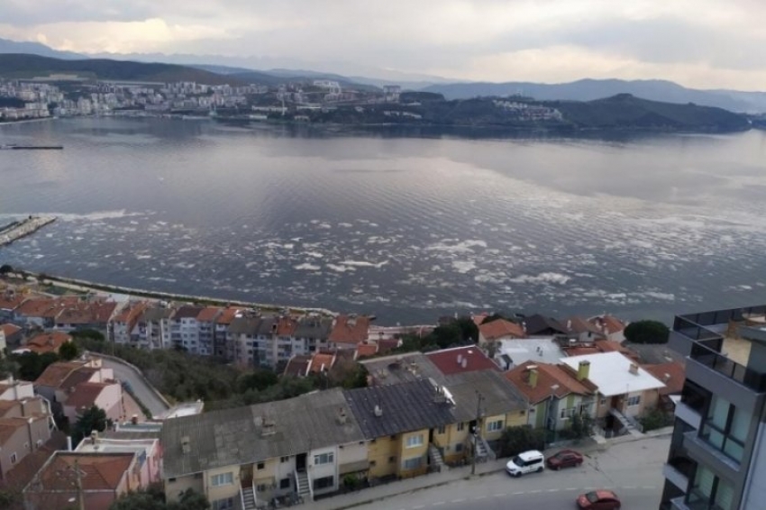  Gemlik Körfezi'nde korkutan görüntü