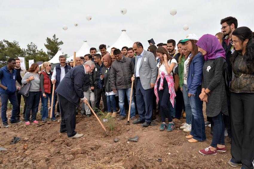 Bursa'da yüzlerce üniversiteli yanan arazi için harekete geçti