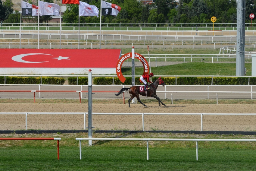 Nilüfer Belediye Başkanlığı Koşusu’nu Bestekar kazandı