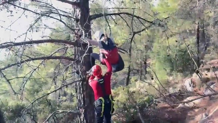 Paraşütçü ağaçta asılı kaldı