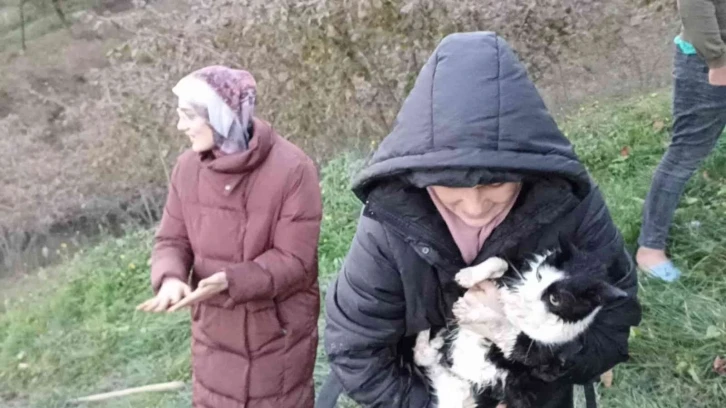 Yağmur suyu hattına sıkışan kedi, ekipler tarafından kurtarıldı
