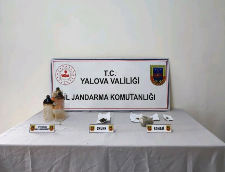 Yalova’da ormanlık alanda uyuşturucu yetiştiren zanlı tutuklandı
