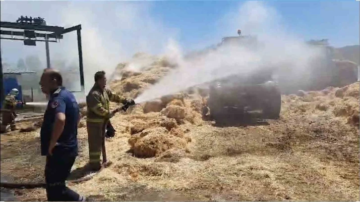 Yangına erken müdahale edildi, çiftçinin emeği kül olmaktan kurtarıldı
