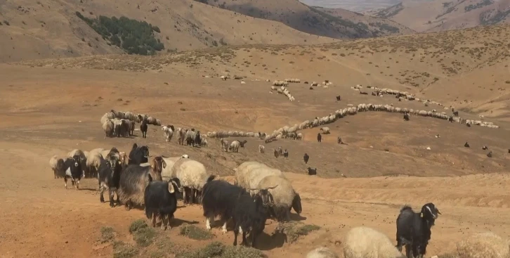 Yaylacılar büyük göç öncesi son hazırlıklarını tamamladı
