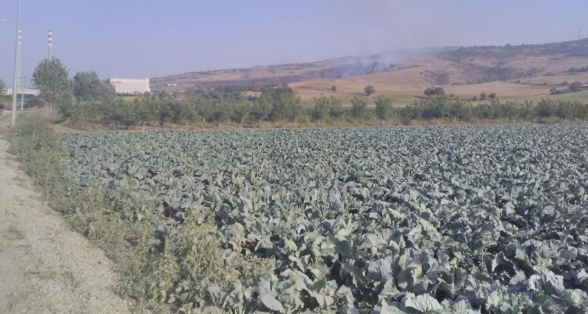 Yenişehir'de orman yandı, cam devi büyük tehlike atlattı