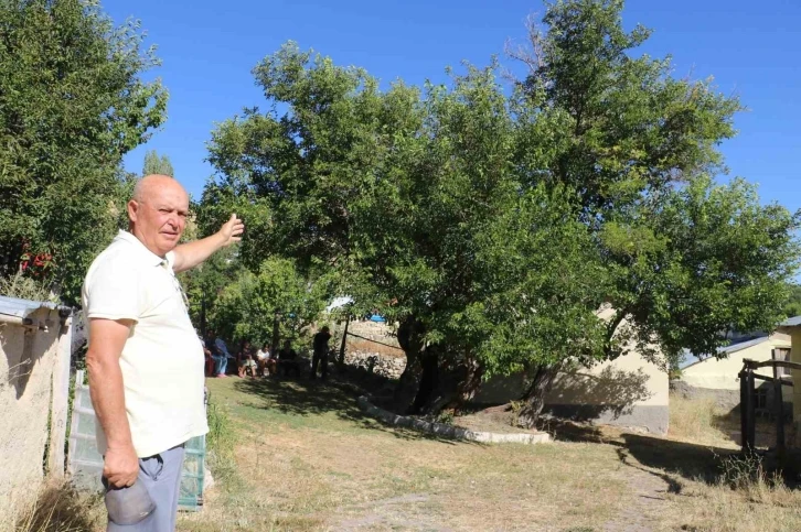 Yedi asır sonra öldü derken yeniden dirildi
