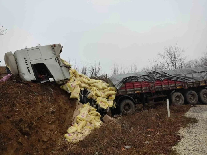 Bursa'da yem yüklü TIR yoldan çıktı: 2 yaralı