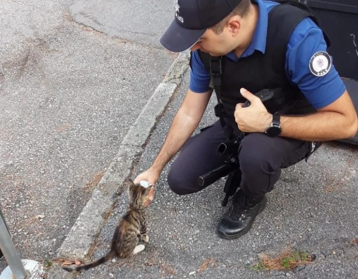 Yeni doğan kedi, polis merkezinin maskotu oldu