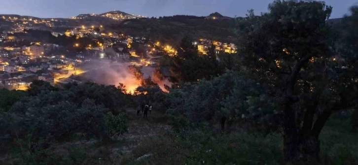 Yıldırım düşen ağaçlık alanda yangın çıktı
