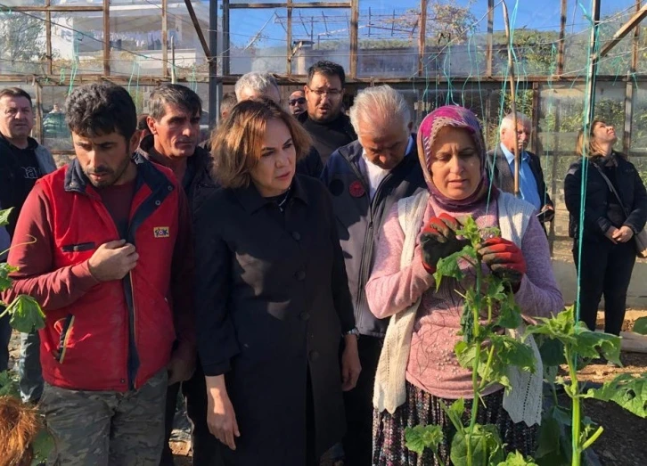 Yılmaz, Silifke’de doludan zarar gören seralarda incelemelerde bulundu
