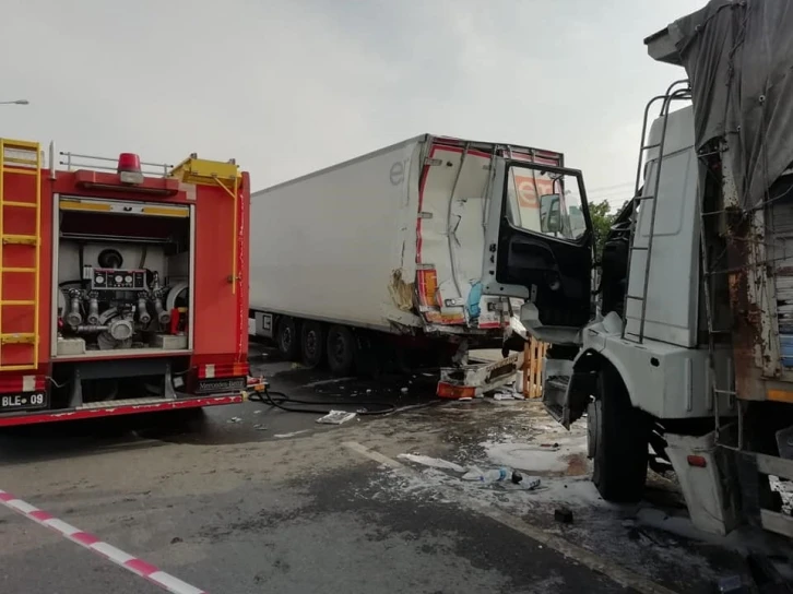 Yola çıkan yavru köpeği kurtarmak isterken canından oldu
