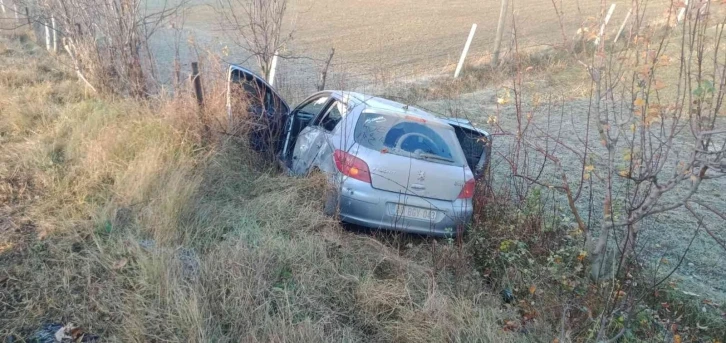 Yoldan çıkan otomobil tarlaya uçtu: 1 yaralı
