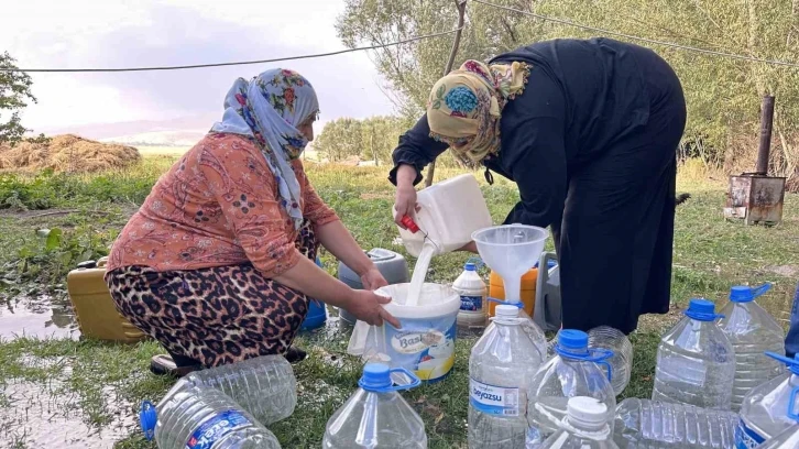 Yüksekova’da kışlık süt mesaisi
