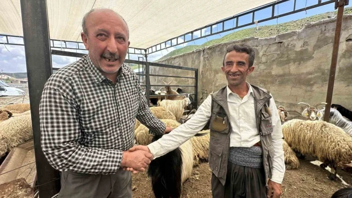 Yüksekova’da kurbanlıklar görücüye çıktı
