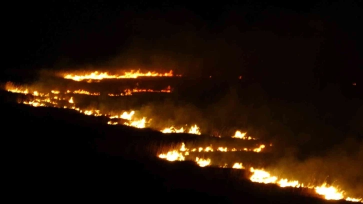 Yüksekova’nın kuş cenneti 4 gündür alev alev yanıyor
