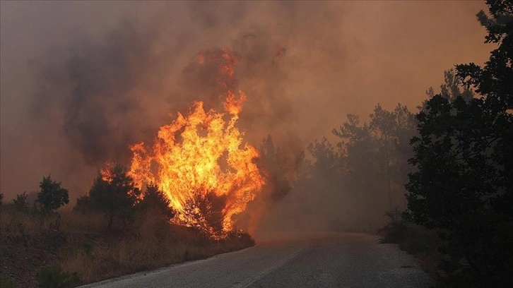 Yunanistan'daki yangınlarda düzensiz göçmenler de çıkış yolu arıyor