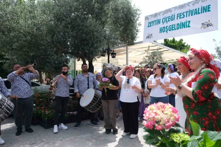 Zeytin Çiçeği Festivali, renkli görüntülerle başladı
