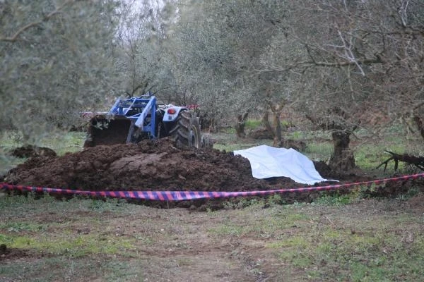 Bursa'da zeytinliğe getirilen gübrenin içinden ceset çıktı